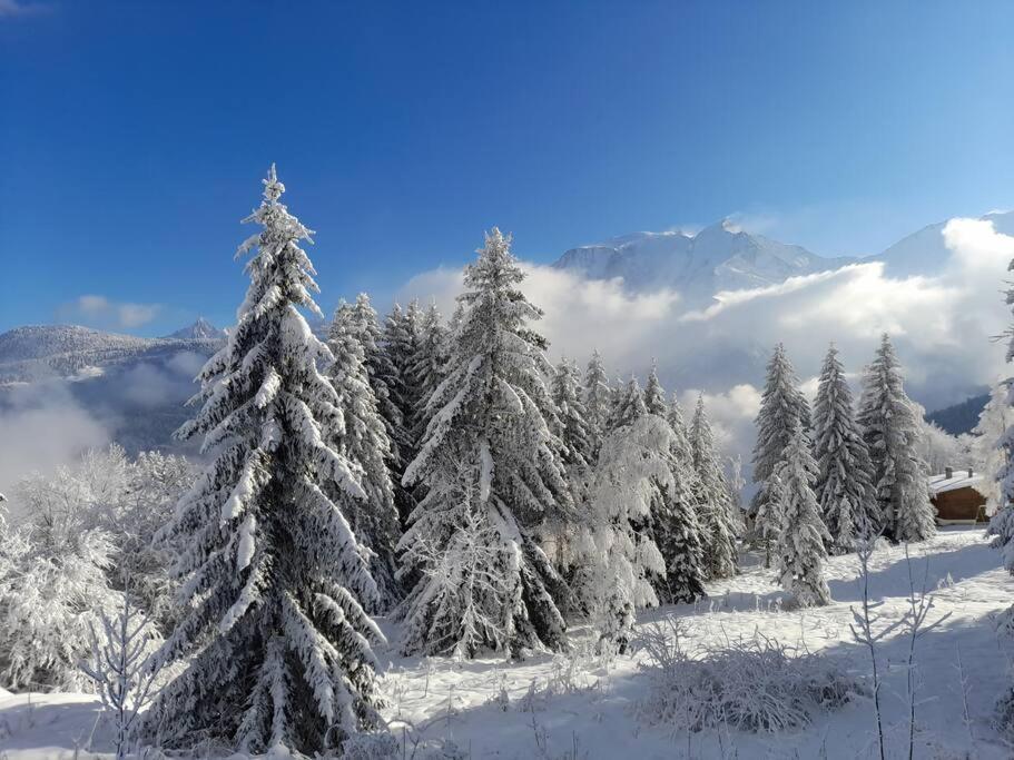 Le Cocon Du Bettex 1400 - Cozy Apt Near Mont Blanc Saint-Gervais-les-Bains Eksteriør bilde