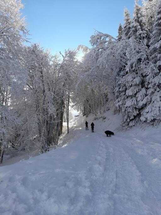 Le Cocon Du Bettex 1400 - Cozy Apt Near Mont Blanc Saint-Gervais-les-Bains Eksteriør bilde